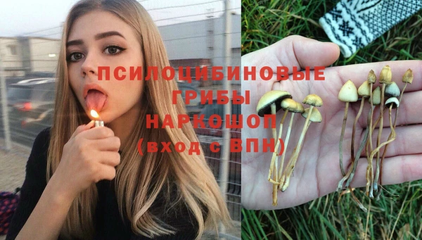 не бодяженный Надым