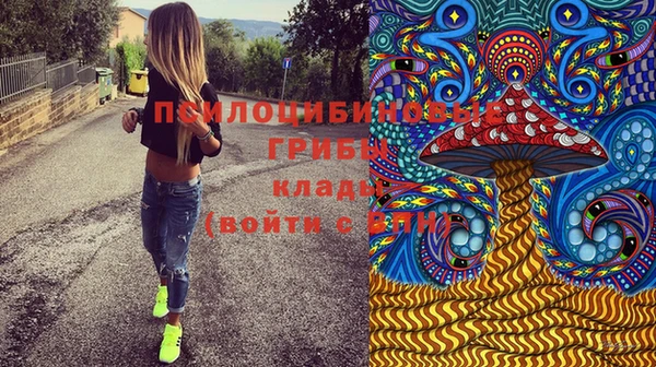 не бодяженный Надым