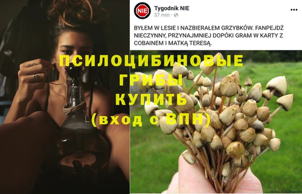 MESCALINE Бежецк