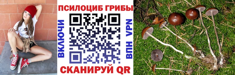 Галлюциногенные грибы GOLDEN TEACHER  Фрязино 