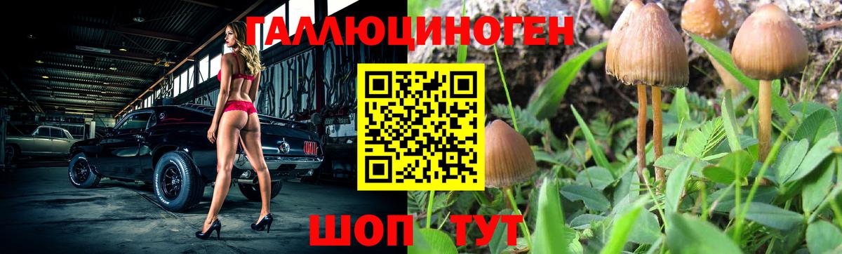 купить наркотики сайты  Вход с VPN  Фрязино  Галлюциногенные грибы ЛСД 