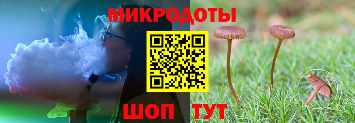 Псилоцибиновые грибы Psilocybe Фрязино
